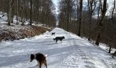 Trail Walking Stosswihr - La Schlucht Le Hohneck Le lac de La Lande Le Collet - Photo 10