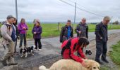 Tour Wandern Châteldon - CLD - GM Le 16/11/2021 - Photo 6