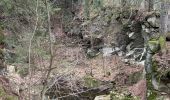 Tocht Stappen Basse-sur-le-Rupt - Piquante Pierre, col de Ménufosse, tourbière de Jemnaufaing - Photo 1