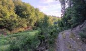 Randonnée Marche nordique Aywaille - trek2306 remouchamps . ninglinspo . Vert-Buisson . berinzenne . source sauveniere . niveze . sart . royonpré . polleur . chawion . theux . hodbomont . forestia . remouchamps  - Photo 11