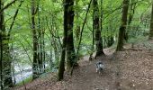 Trail Walking Chiny - Chiny le long de la Semois - Photo 7