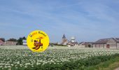 Trail Walking Silly-le-Long - MR_SILLY-le-LONG_5.2Km - Photo 1