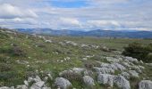 Trail Walking Caussols - De Caussols vers le sommet et le plateau de Calern - Photo 16
