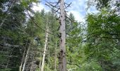 Trail Walking Saint-Agnan-en-Vercors - Rocher du mas (vercors) - Photo 16