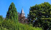 Tocht Stappen Vresse-sur-Semois - Balade à Orchimont - Les Moinils - Photo 14