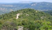 Excursión Senderismo Auriol - Les Encanaux, Auriol-05-06-24 - Photo 4