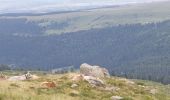 Tour Wandern Albepierre-Bredons - Le Plomb du Cantal - Photo 8