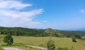 Tour Wandern Montferrer - montferrer . El castel . Puiq de volafort .. retour par la piste  - Photo 4