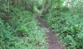 Trail Walking Valorbiquet - St Cyr-Pretreville - Photo 7