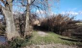 Trail Walking Entraigues-sur-la-Sorgue - entraigues 84 berges des sorgues  - Photo 4