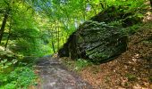 Trail Walking Bièvre - Promenade de la Roche Mouselle - Petit-Fays - Photo 14