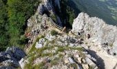 Tocht Stappen Le Bourget-du-Lac - DENT DU CHAT - MOLARD NOIR - Photo 1