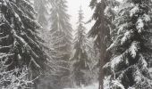 Randonnée Raquettes à neige La Clusaz - 221210 pointe de beauregard - Photo 1