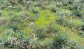 Trail Walking Trans-en-Provence - vallon du Rousset la Motte  - Photo 1