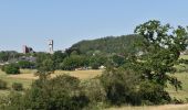 Randonnée Marche Blegny - 20230615 - Balade ornithologique Blegny-Mine - 4.4 Km - Photo 16