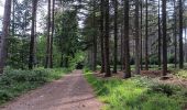 Randonnée Marche Sprimont - dans les bois au nord de Banneux - Photo 12
