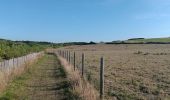 Trail Walking Tardinghen - parking du chapelet  - batterie todt, via campagne, retour par les falaises - Photo 2