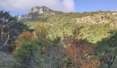 Trail Walking Plan-d'Aups-Sainte-Baume - Pic de Bertagne - Grotte Betton - Le plan d'aups - Photo 13