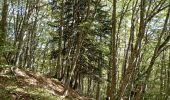 Trail Walking Château-Bernard - tête des chaudières et rocher de la Balme  - Photo 5