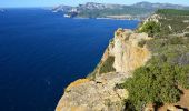 Excursión Senderismo Cassis - Pas de la Colle - Falaises Soubeyranes - Sémaphore du Bec de l'Aigle - Anse de Figuerolles - Parc Mugel - La Ciotat - Photo 8