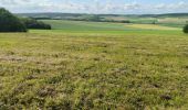 Tour Wandern Soucy - Petite promenade dans la forêt de SOUCY  - Photo 3