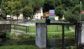 Tour Zu Fuß Weigendorf - Rundwanderweg Weigendorf - Photo 4