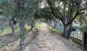 Trail Walking Le Pradet - Fort bayarde - Photo 14