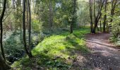 Trail Walking Berchem-Sainte-Agathe - Sint-Agatha-Berchem - Berchem Zellik 9 km - Photo 4