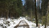 Trail On foot Herrliberg - Wetzwil - Pfannenstiel Hochwacht - Photo 5