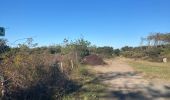 Tour Wandern Tarnos - Promenade sud côte Landaise  - Photo 1