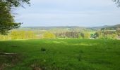 Tour Wandern Paliseul - Our Opont 090524 - Photo 5