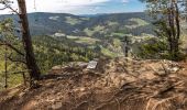 Trail On foot Frauenstein - Pulst-Sörg-Lorenziberg-Runde - Photo 1