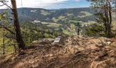 Trail On foot Frauenstein - Pulst-Sörg-Lorenziberg-Runde - Photo 1