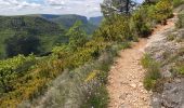 Trail Walking La Roque-Sainte-Marguerite - Roquesalte depuis la roque st marguerite - Photo 10