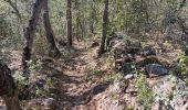 Trail Walking Prades - codalet . coll de Clara . abbaye St Michel de Cuxa . canal bohère - Photo 14