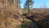 Trail Walking Dinant - Randonnée - Photo 8