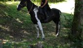 Trail Horseback riding Plainfaing - Acpl 2ème jour plainfaing  - Photo 4