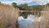 Tour Wandern Roquebrune-sur-Argens - z les mares de la Bouverie 21-12-21 - Photo 3