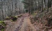 Randonnée Marche Stoumont - stpumont - froudcour aller via sentier corniche retour le long de l ambleve - Photo 18