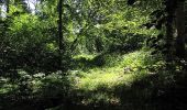 Randonnée Marche Morienval - en forêt de Compiègne_37_les Tournantes des Petits Monts (sur et sous) - Photo 15