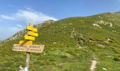 Tour Wandern Venaco - Petra Piana Vizzavona - Photo 14