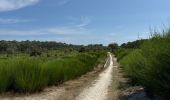 Percorso Bici ibrida Vendays-Montalivet - Montalivet - Hourtin plage - Hourtin lac - Vendays - Photo 11