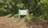 Tour Wandern Esparron-de-Verdon - Le lac d'Esparon et le site de la salle à manger - Photo 17