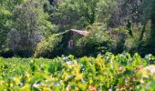 Trail Walking Correns - Le patrimoine - l'Argens - Le village - Photo 17