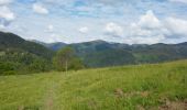 Trail Walking Sondernach - mp sondernach 2019 - Photo 3