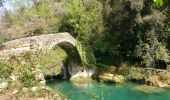 Percorso Marcia Saint-Cézaire-sur-Siagne - Gorges de la Siagne - Photo 1