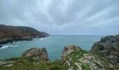 Trail Walking Beuzec-Cap-Sizun - Beuzec falaise beuzec - Photo 3