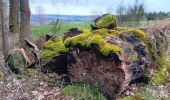 Tour Wandern Dreibrücken - haute bodeux . lac supérieur coo . ancienne barrière  - Photo 5