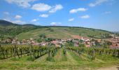 Trail Walking Andlau - Les châteaux d'Andlau et le vignoble de Mittelbergheim. - Photo 3