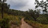 Trail Walking Biure - bourse.  castel de mont roigt  /  retour par ma vallée  - Photo 17